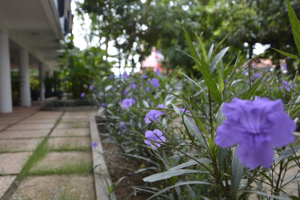Bamboo Garden Boutique Hotel Sziemreap Kültér fotó